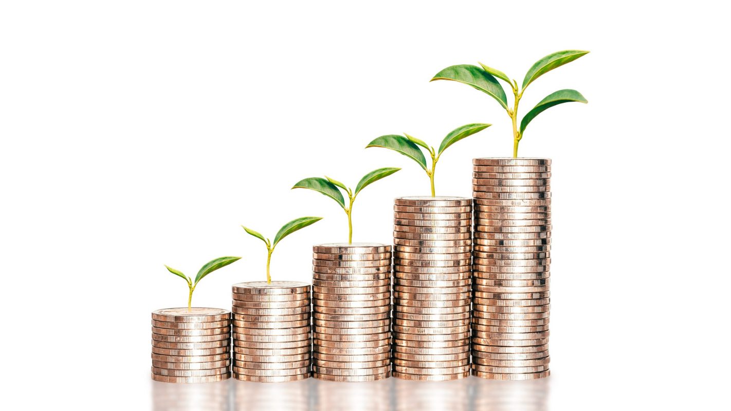 Plant growing in savings coins stack on isolated white background. Investment plan Concept